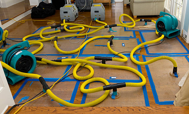 Professional Crawl Space Water Removal technician working in Brighton, MI